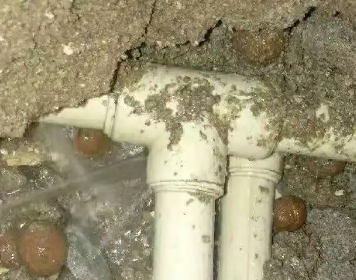 阿巴嘎旗测漏水多少钱