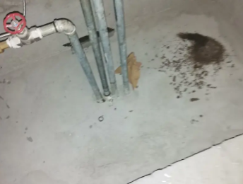 阿巴嘎旗卫生间测漏水价格明细